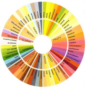 Wine Flavor Wheel (Not widely adopted)