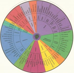 Wine Aroma Wheel Widely used by the wine judging community, buy one at www.winearomawheel.com 